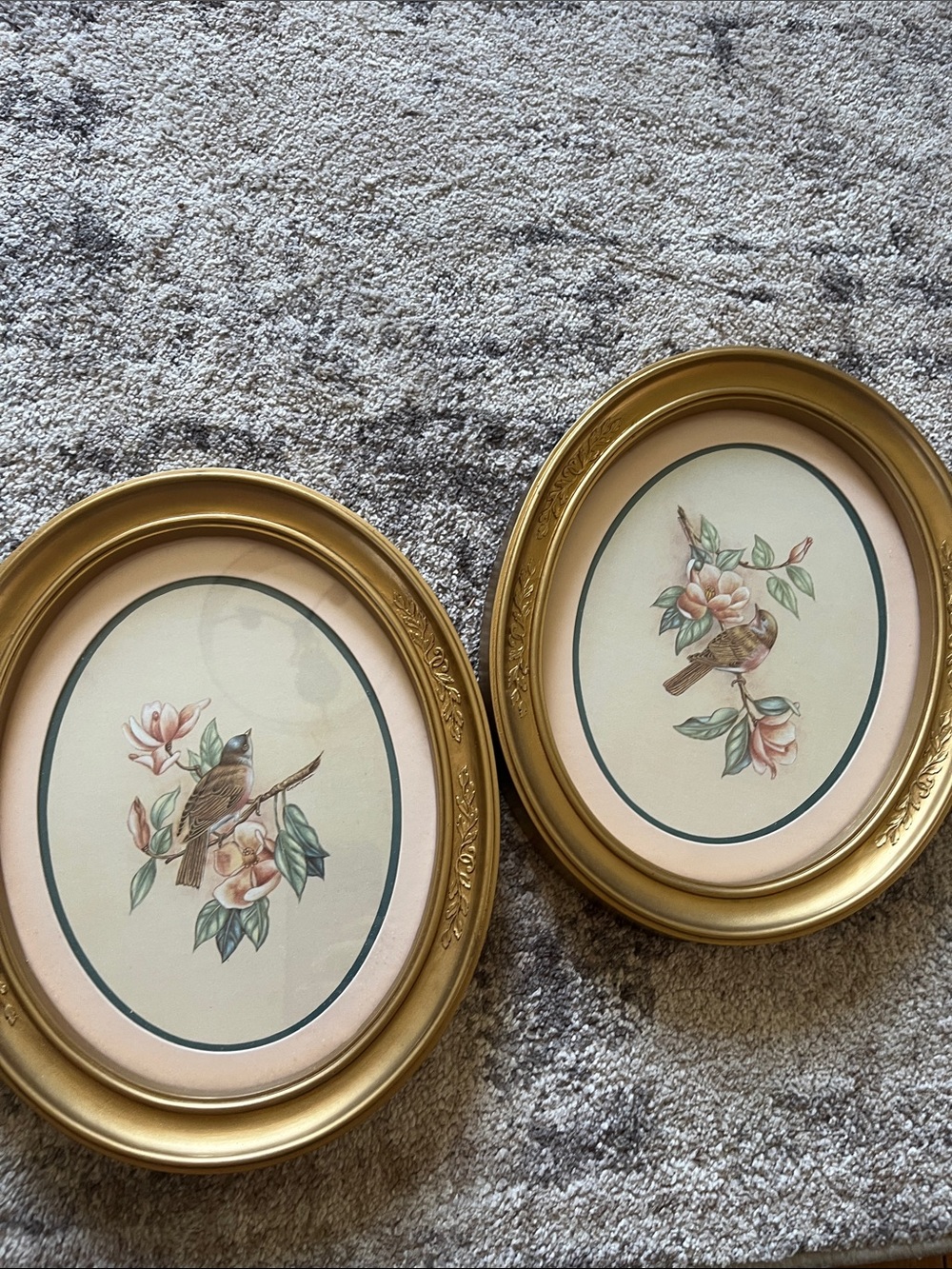 Vintage home interior Pair of Oval Gold Framed Bird Prints